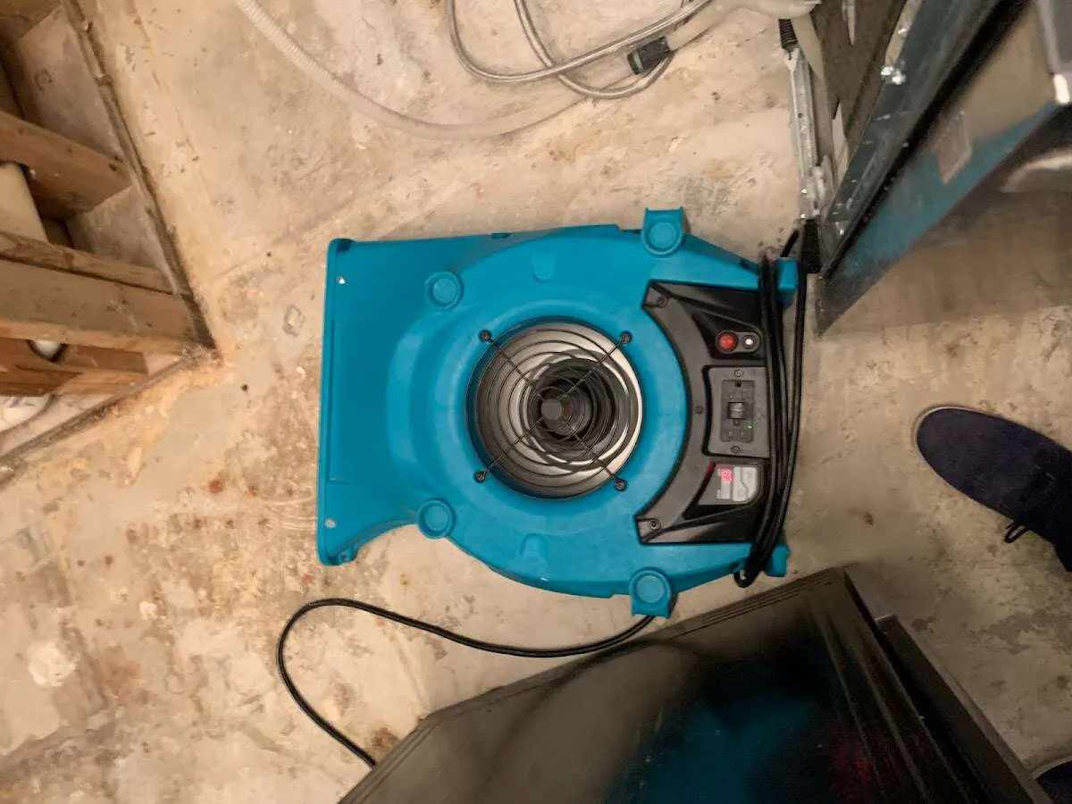Air mover drying equipment for Mold Remediation & Removal in Cheverly