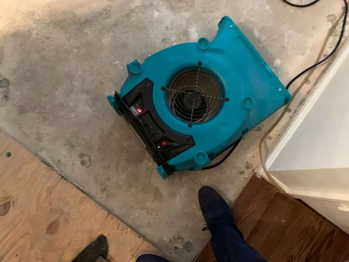 Air mover drying subfloor during Commercial Water Damage Restoration in Cheverly